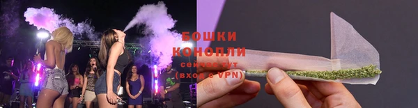 соль ск Вяземский