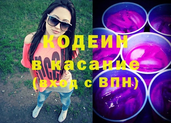 винт Анива